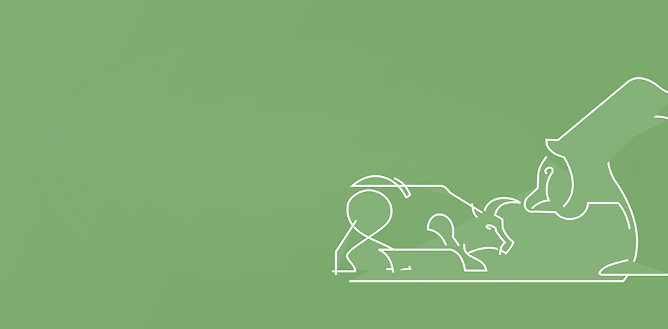 bull-bear-bank-960px